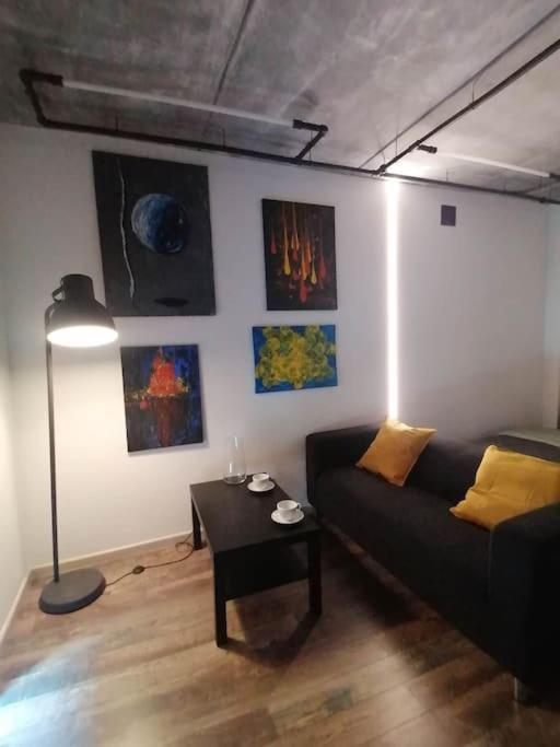 Erdvi Studija Spacious Studio Apartment Self Check In Вилнюс Екстериор снимка